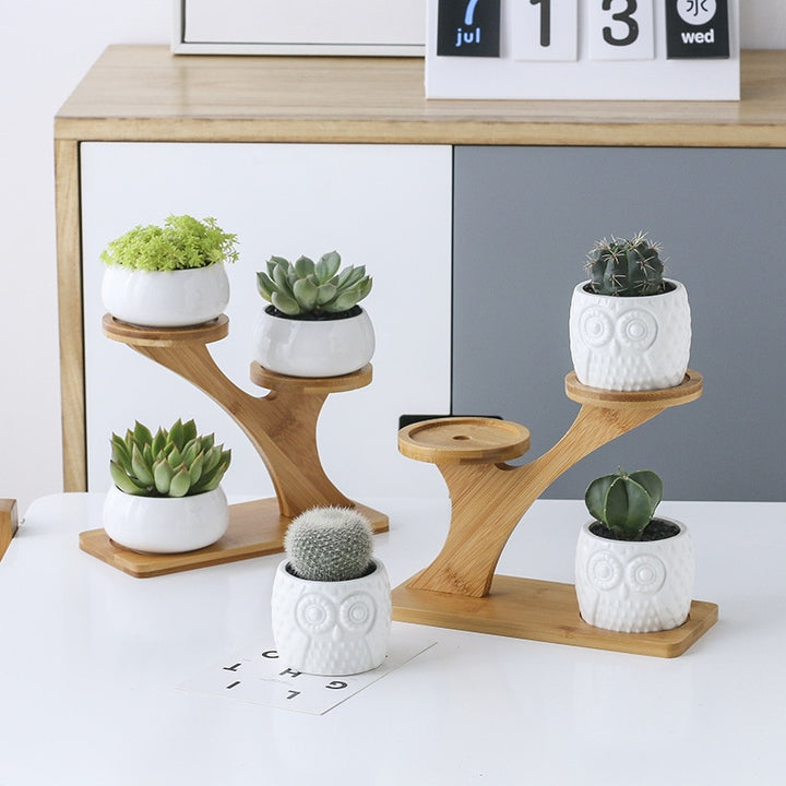 3-Tier Bamboo Shelf with Themed Planters