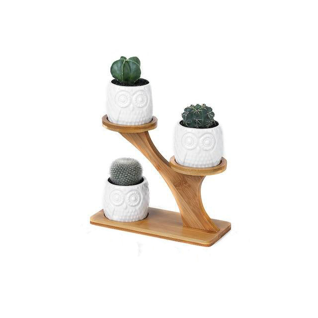 3-Tier Bamboo Shelf with Themed Planters